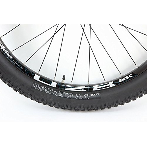 Weinmann 29er deals rims