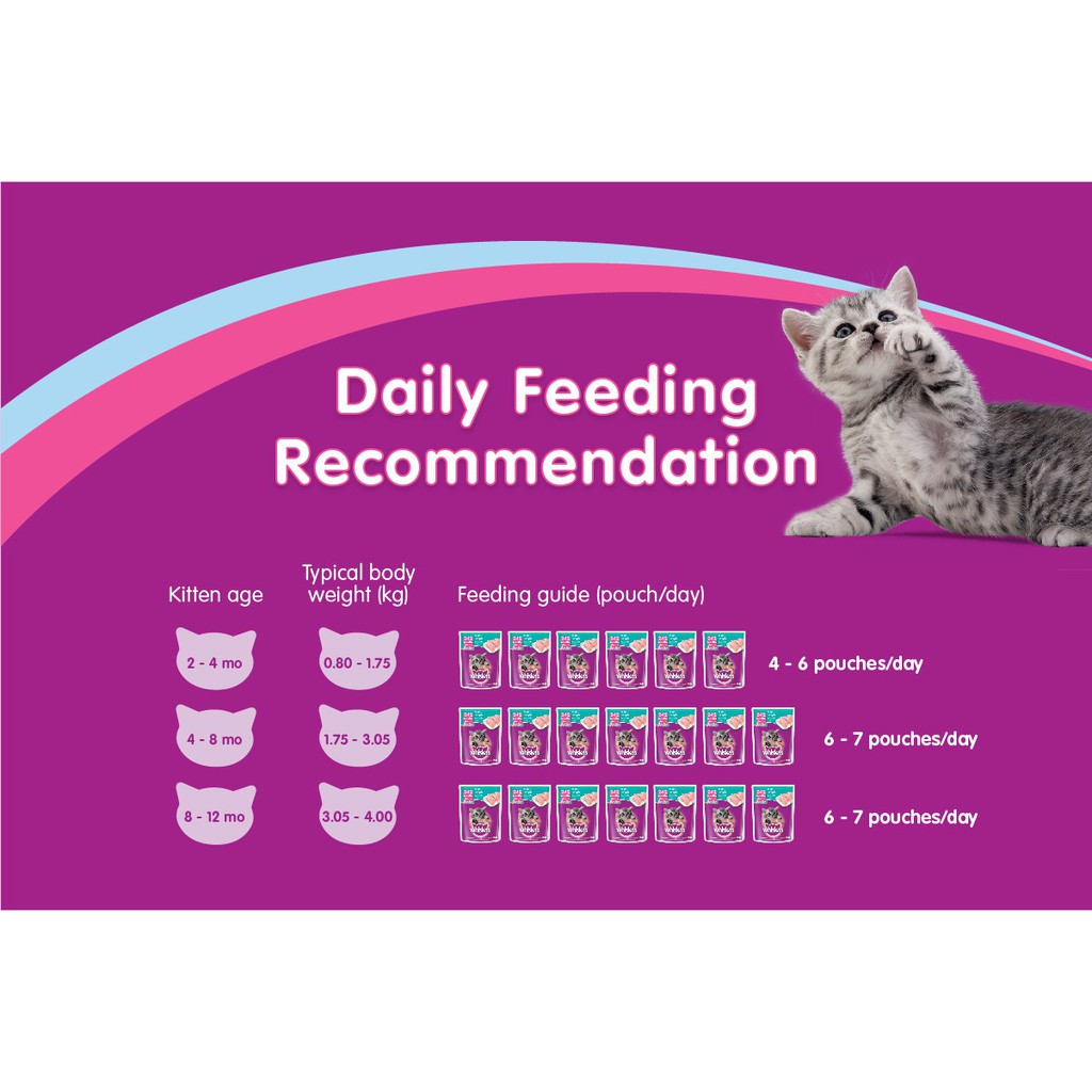 Whiskas Mackerel Flavor Pouch Wet Cat Food Set Of 24 (85g) 