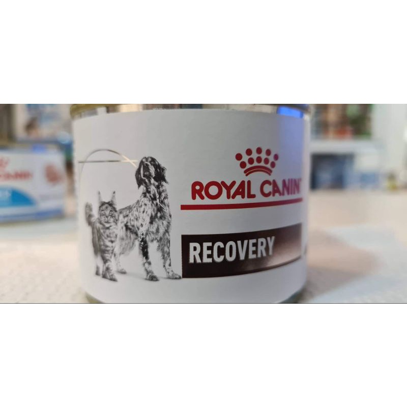 Royal Canin - Recovery for Dogs/Cats 195g