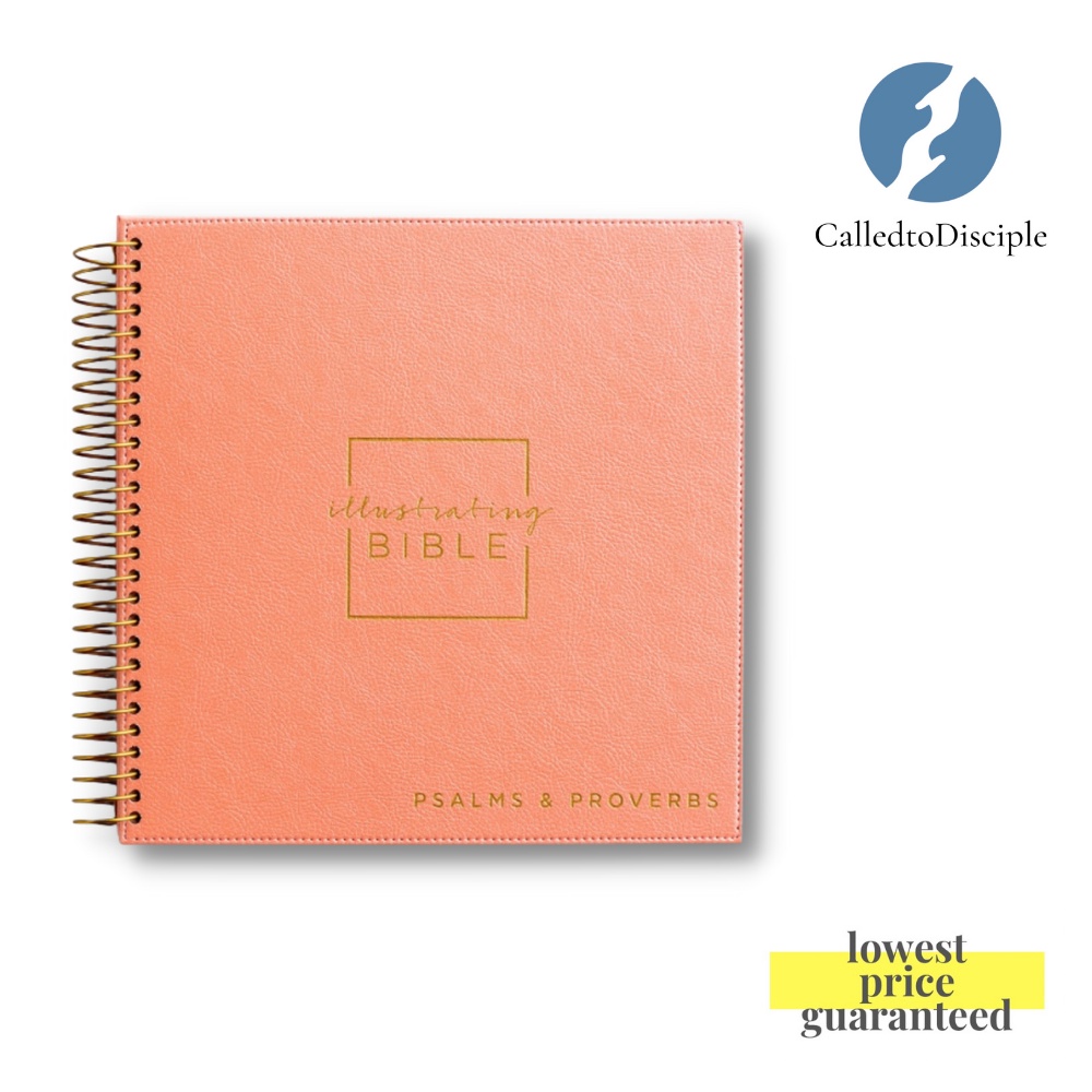 NIV - Illustrating Bible - Psalms & Proverbs from Dayspring | Shopee ...