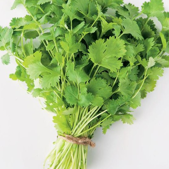 Coriander / Cilantro / Wansoy 10grams Herb Seeds Vegetables Condements