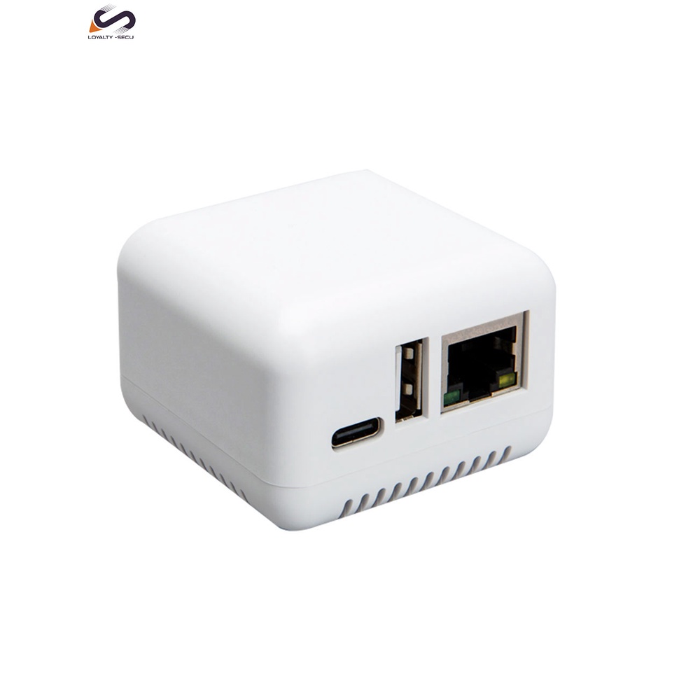 LOYALTY-SECU Mini Rj45 1 port Network Print Server for USB Printer ...