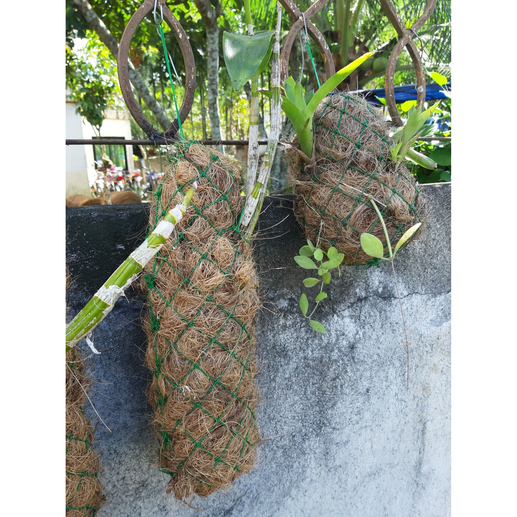 COCO WATTLES MADE OF COCO COIR AND CAN BE USED ALSO ON ARTIFICIAL ...