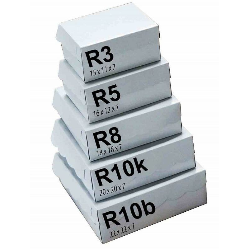 PUTIH Box r5 310 platinum white | Shopee Philippines