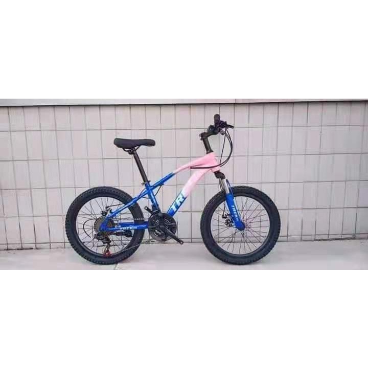 Trek mini best sale mountain bike