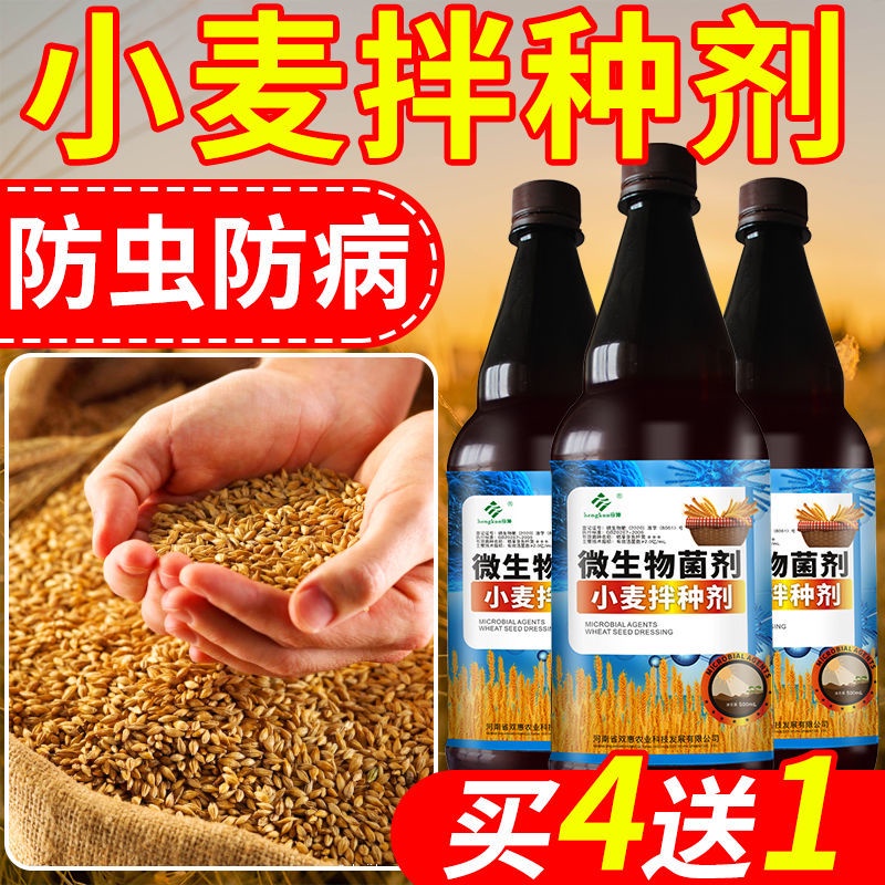 ☍Wheat Seed Dressing Agent Coating Agent Wheat Seed Disease Resistance ...