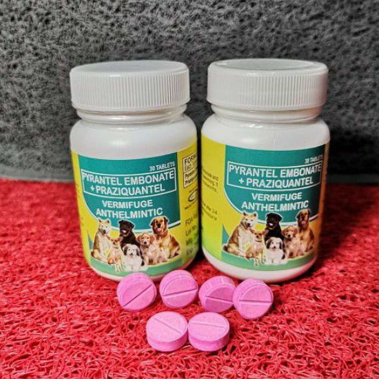 Papi Pirantel Pet Dewormer 1 Tablet LOW PRICE GUARANTEED | Shopee ...