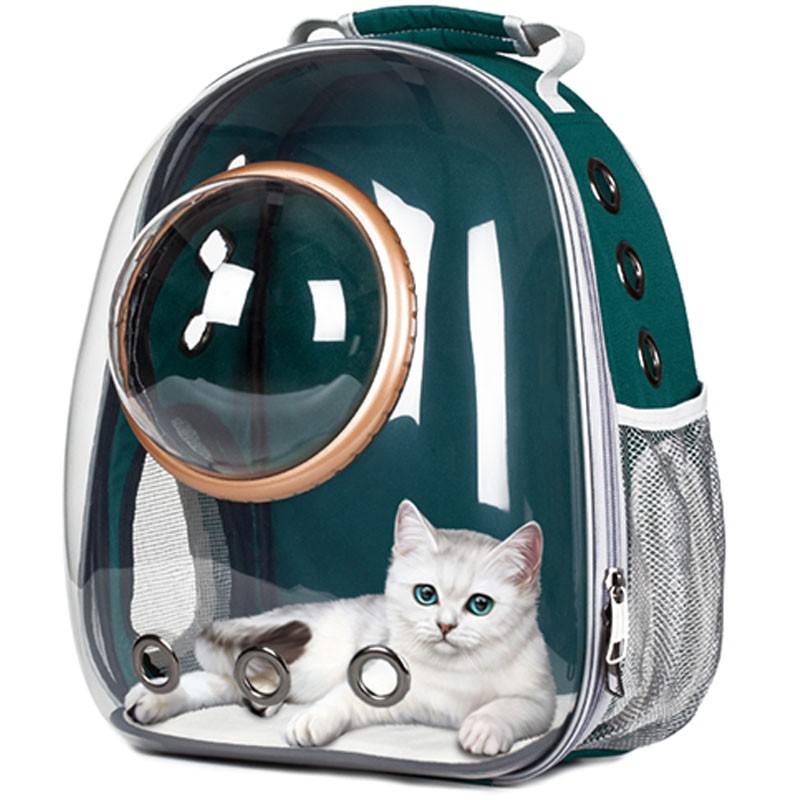 Cat Backpack Space Capsule Cat School Bag Box Carrying Dogs