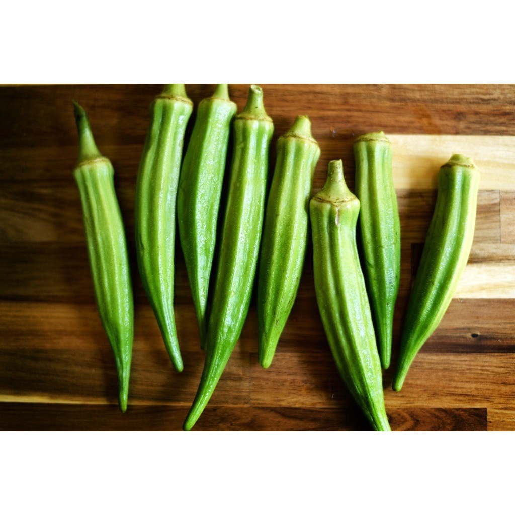 Green Okra Vegetable Seeds ( 50 seeds ) Basic Farm House Shopee