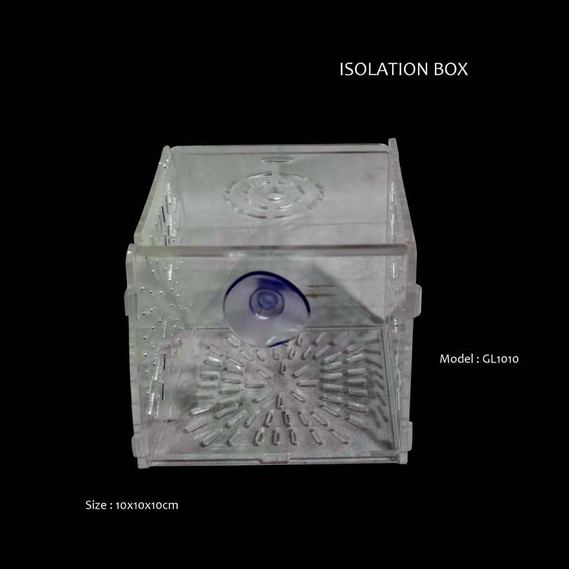 Fish Tank Separator Box Single Double Grid Isolation Net Acrylic | Shopee  Philippines