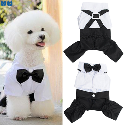 27Pets Cute Male Pet Dog Cat Clothes Wedding Bow Tie Suit Shopee Philippines