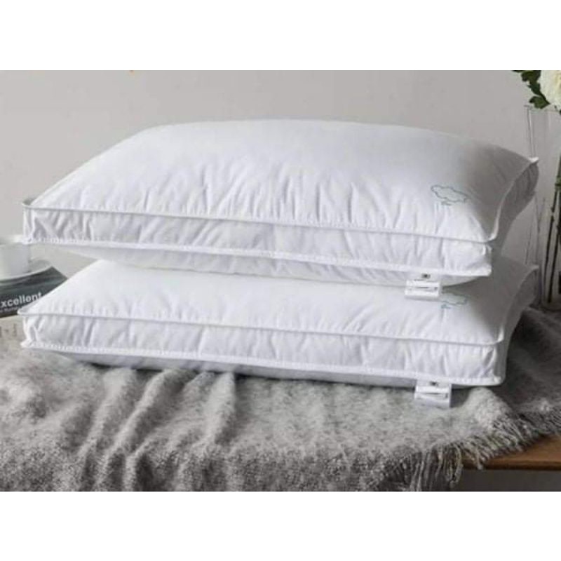 Authentic Imported 5Star Hotel Pillows CHLOE'S FINDS HOTEL COLLECTION