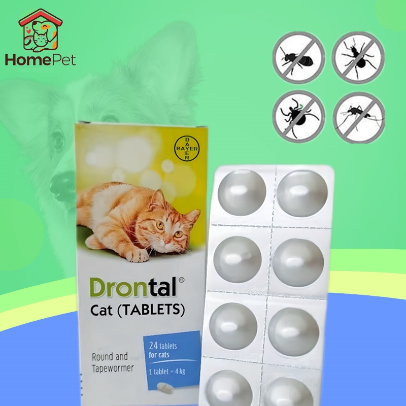 Drontal Cat 1 Box of 24 Delicious Deworming Tablets Cat Deworming Tablets Shopee Philippines