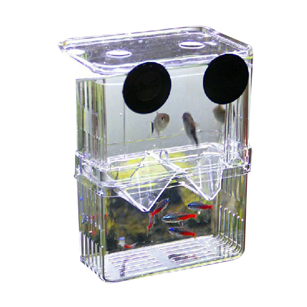 Clear Aquarium Hatchery Breeding Box Fish Tank Isolation Case Juvenile