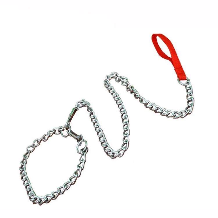 Stainless steel dog outlet chain