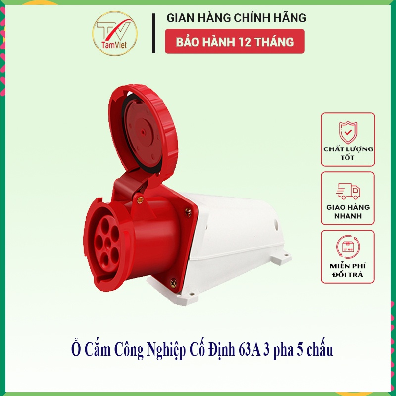 Tam Viet fixed industrial socket, 63A 3-phase 5-pin 380V power outlet ...