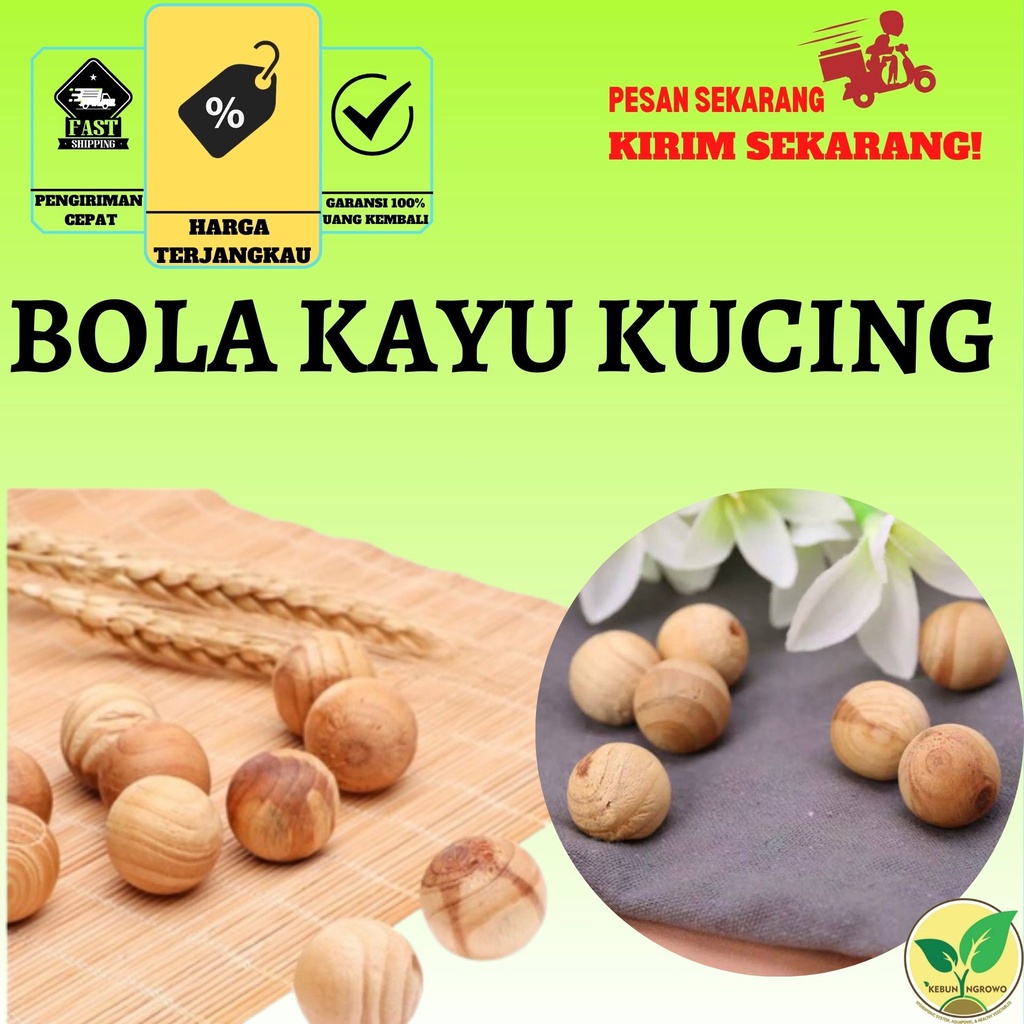 KAYU Natural Wood Ball Odor Remover Cat Hamster Rabbit Toy Cat Cage