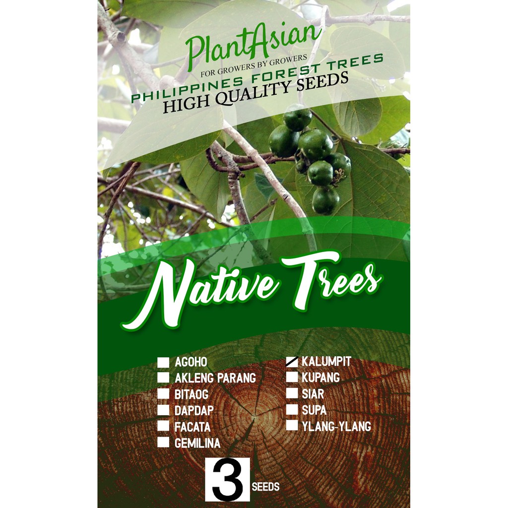 KALUMPIT TREE QUALITY SEEDS 3 SEEDS Shopee Philippines