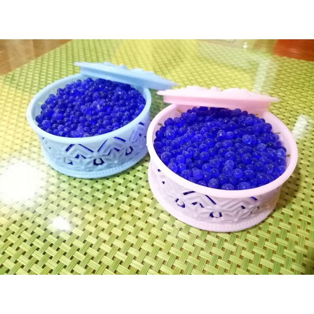 Silica Gel (Reusable) in ReadytoUse Container Shopee Philippines