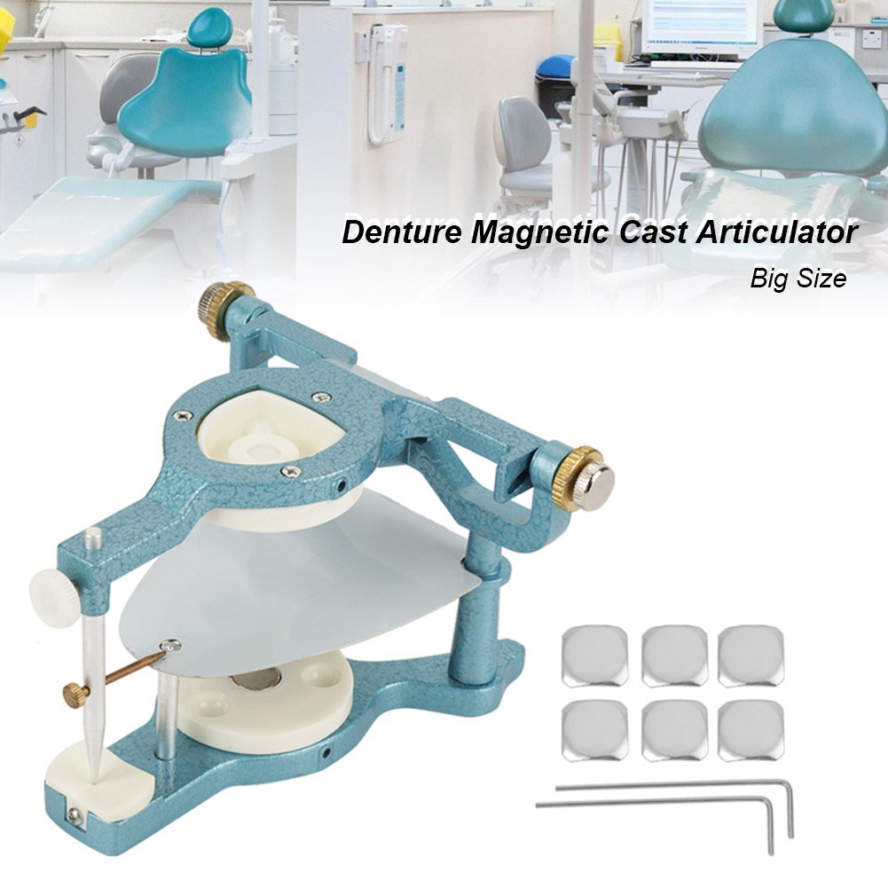Big Size Dental Articulator Cast Jaw Frame Anatomic