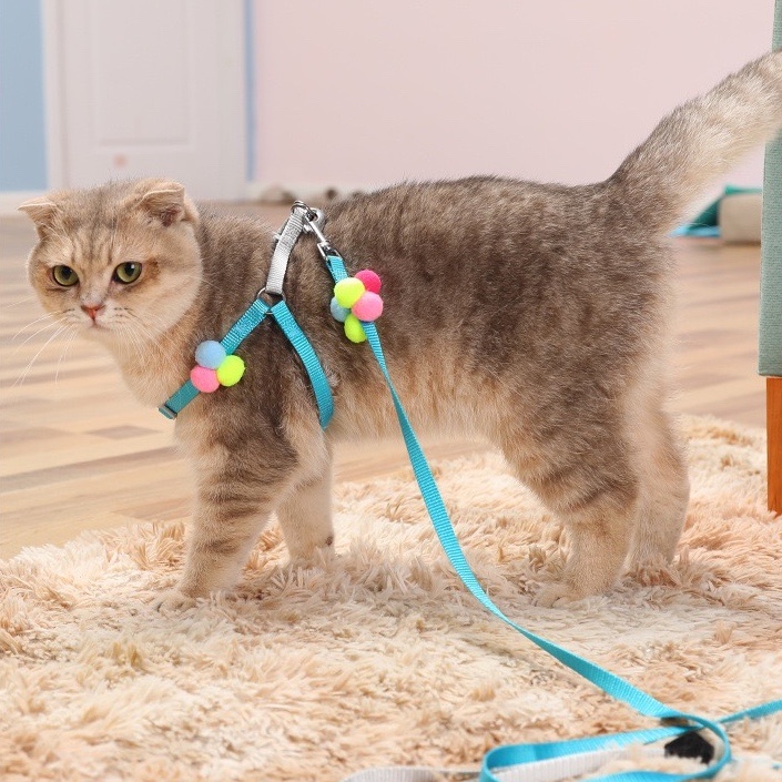 Cat Harness Leash w Tassel Cat Dog Body Harness Shopee Philippines