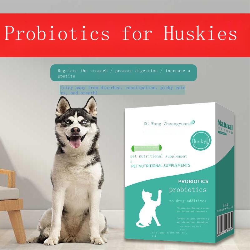 Husky probiotic powder conditioning tiyan alagang aso espesyal na tuta