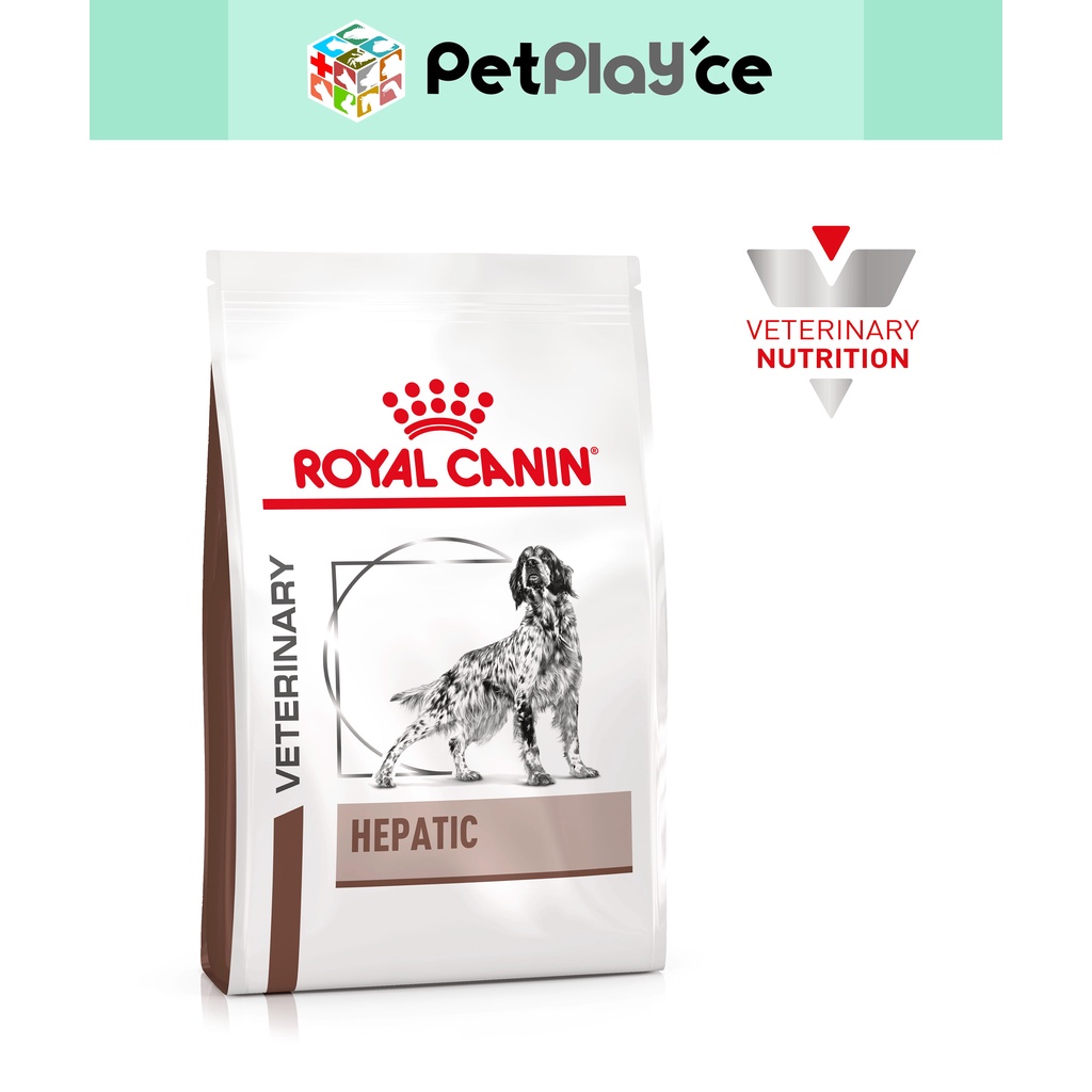 Hepatic royal hotsell canin dog