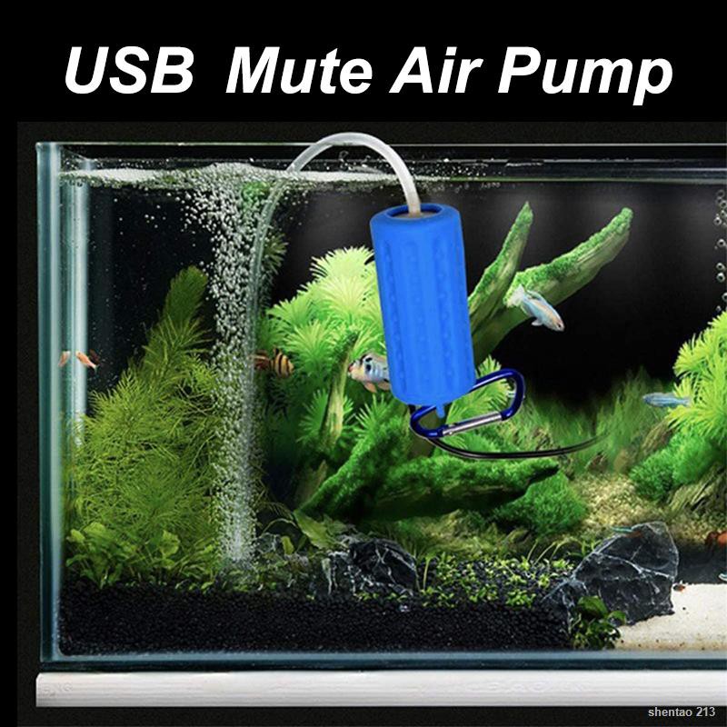 Tropical fish outlet tank pump