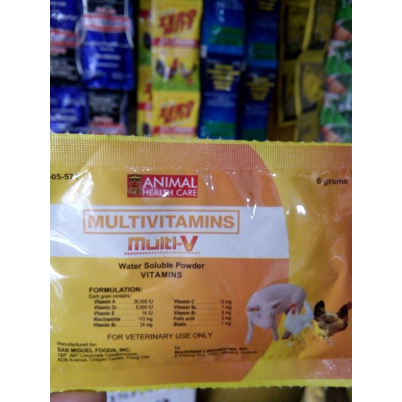 Multi V (24pcs.*6grams) | Shopee Philippines