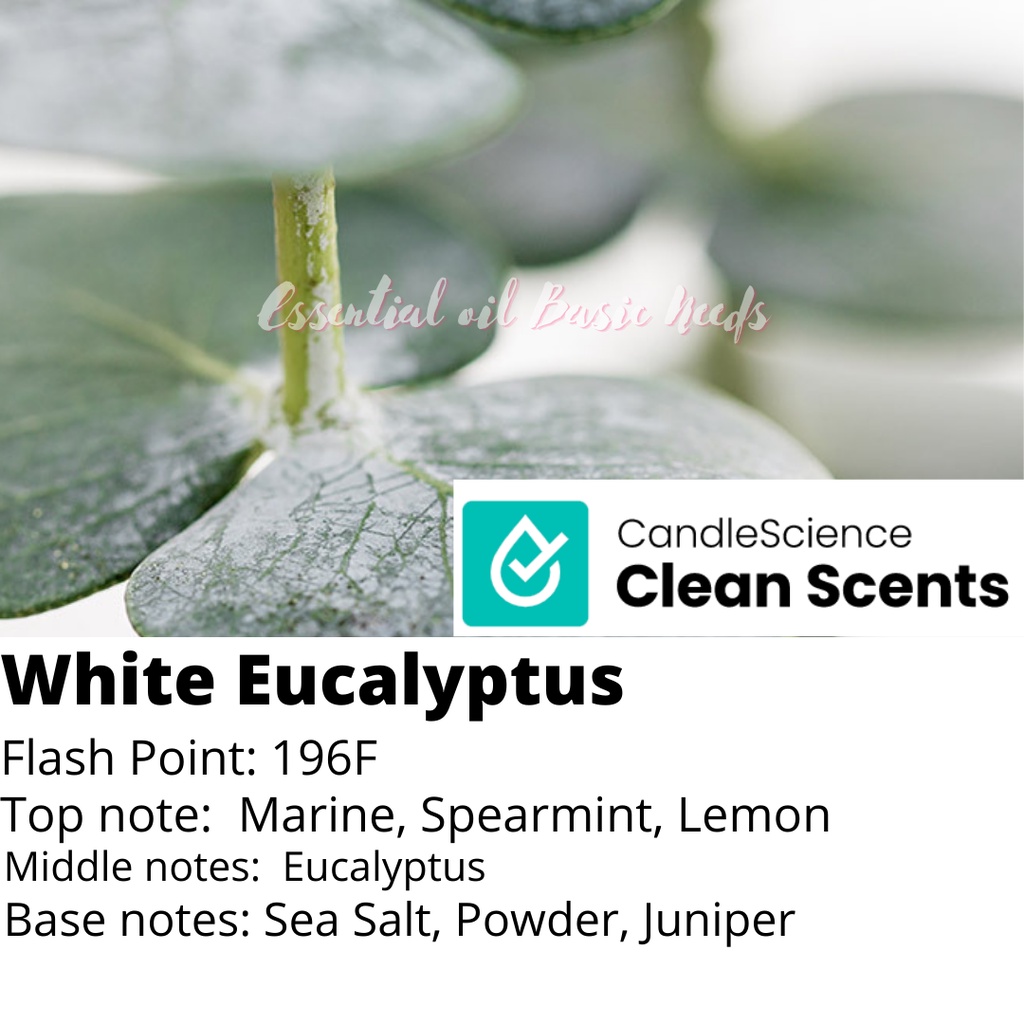 (S W) 30g Candlescience Fragrance Oil, Pure and High Grade Quality