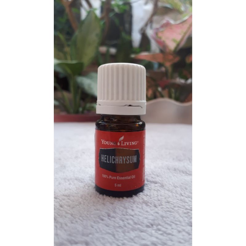 Young Living Helichrysum 5ml Shopee Philippines