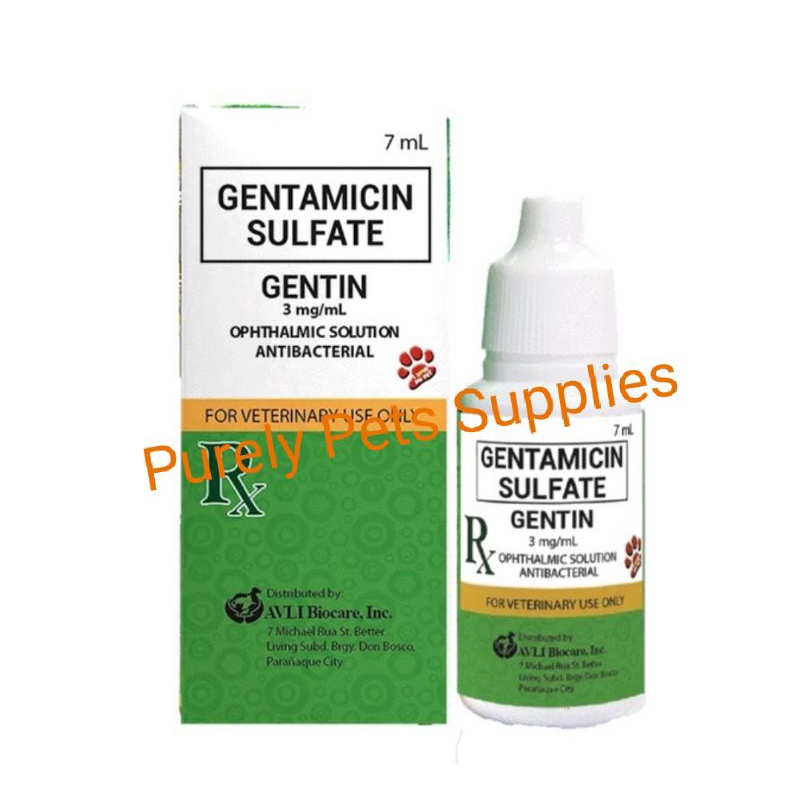 Gentamicin sulfate ophthalmic shop solution for dogs