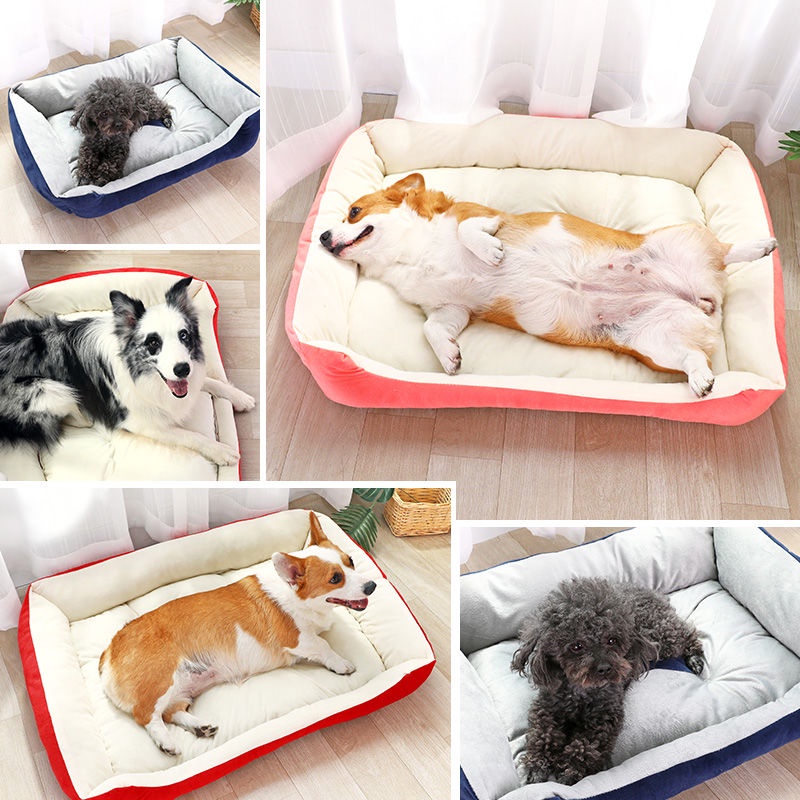 Cat Home] Dog Bed Cat Bed Pet Kennel Mat Teddy Cat Beds Small