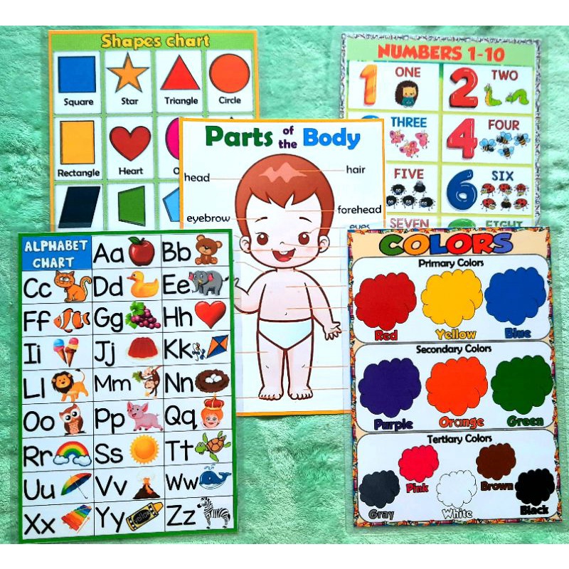 BEGINNERS CHARTS LAMINATED EDUCATIONAL | Shopee Philippines