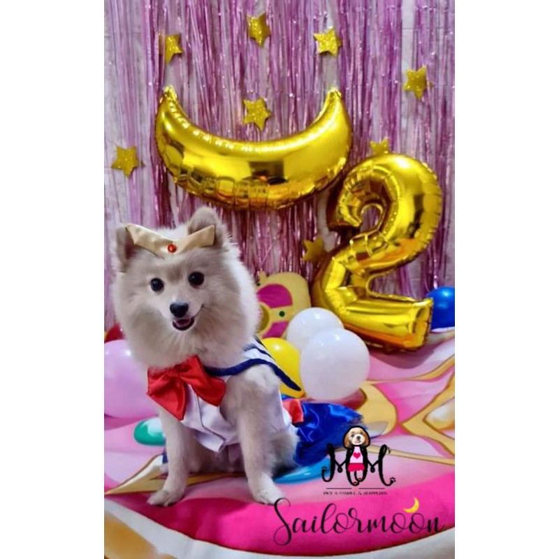 Dog sailor moon clearance costume