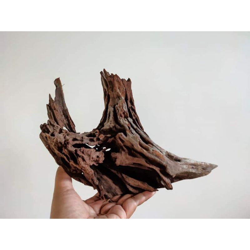 DRIFTWOOD/ DRIFT WOOD for iwagumi or aquascaping design Shopee