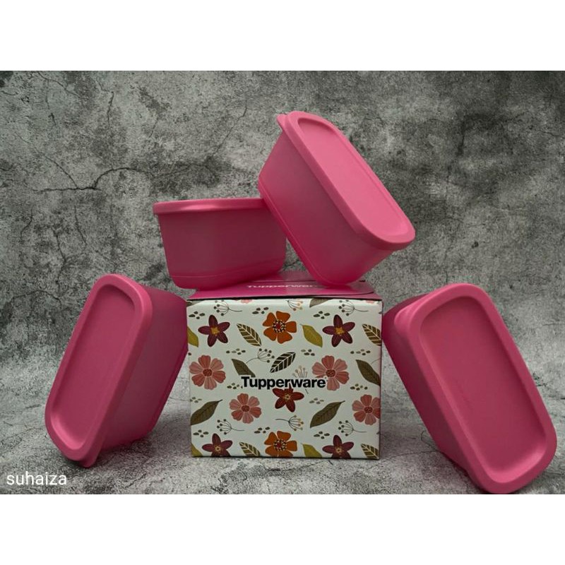 Sweet Trinkets set TUPPERWARE 250ml(4 pcs ) | Shopee Philippines