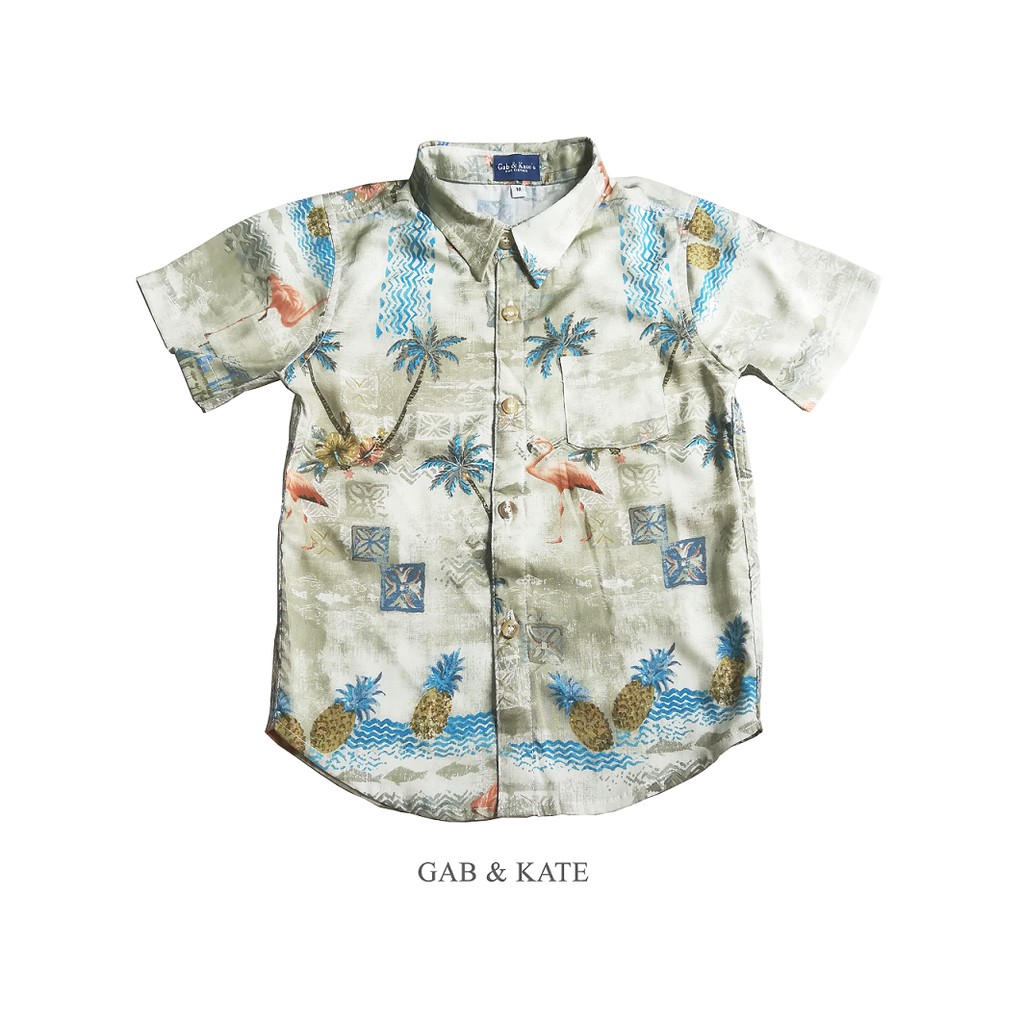 Hawaiian polo 2025 for kids