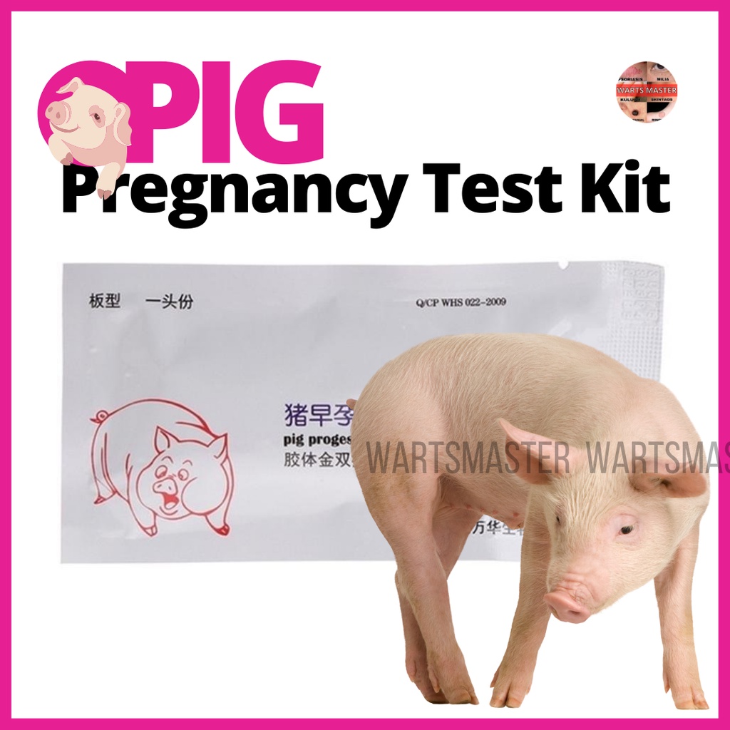 [ WARTSMASTER ] PIG PREGNANCY TEST KIT Pig Urine Pregnancy Test