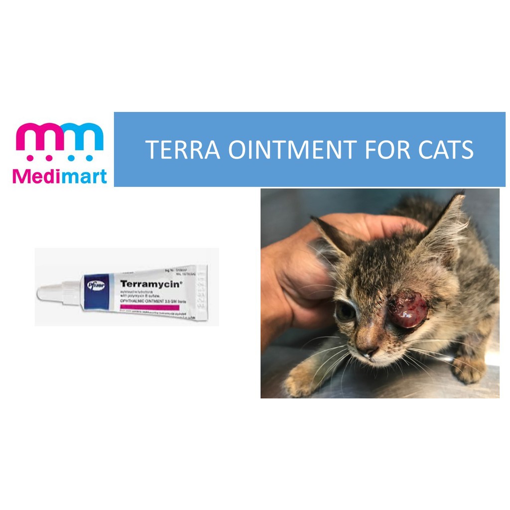 TERRA OINTMENT FOR CAT EYE INFECTION Shopee Philippines