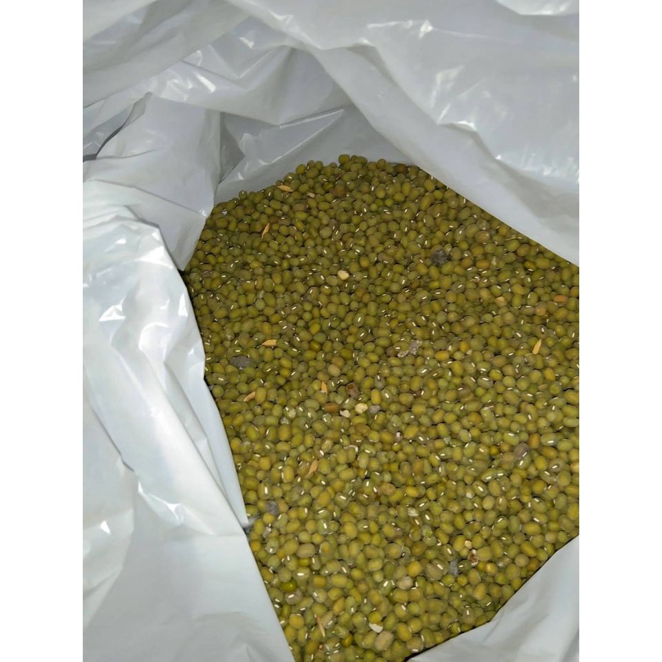 Green Monggo (Mung Beans) Labo 250g,500g,and 1KG | Shopee Philippines