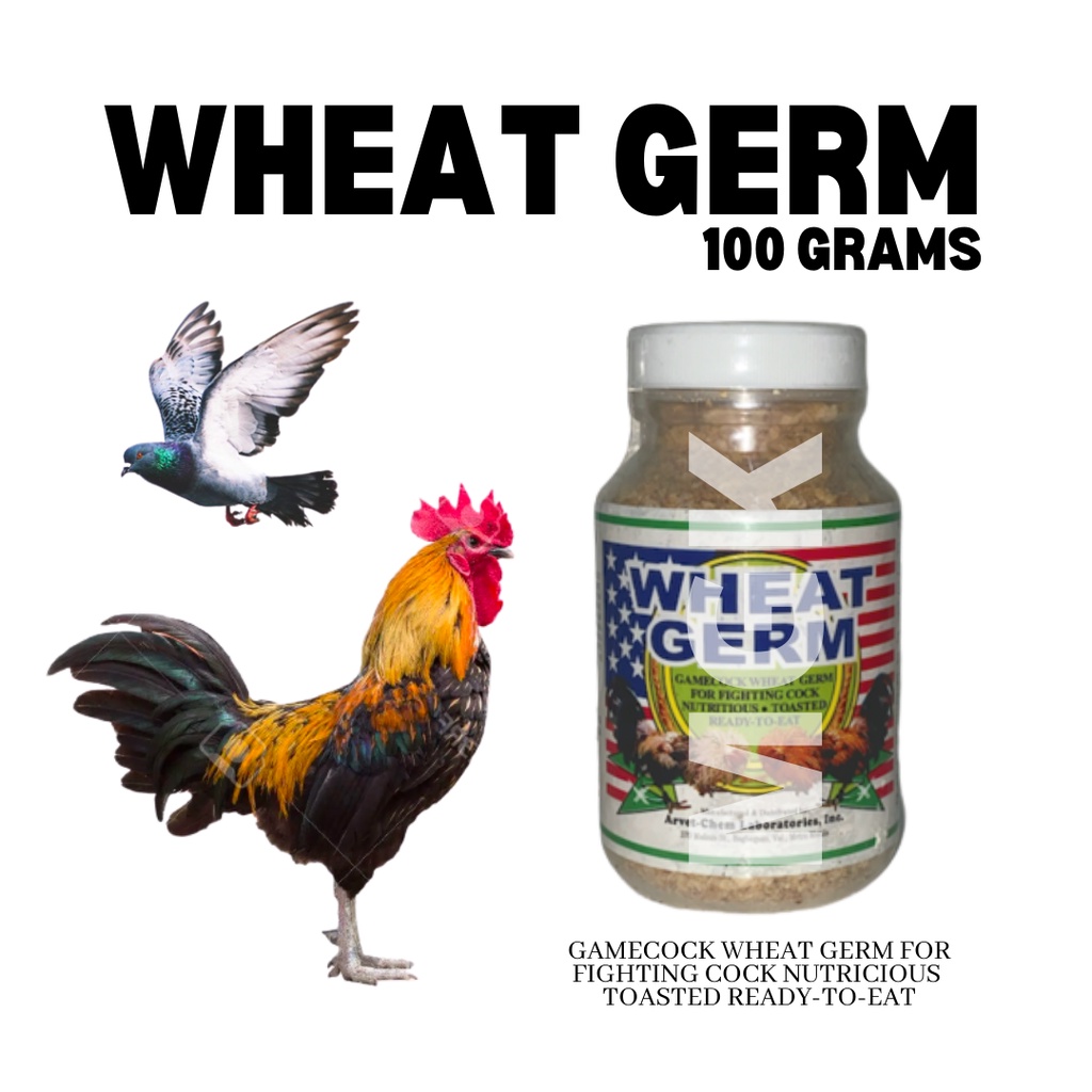 Can dogs eat wheat germ best sale