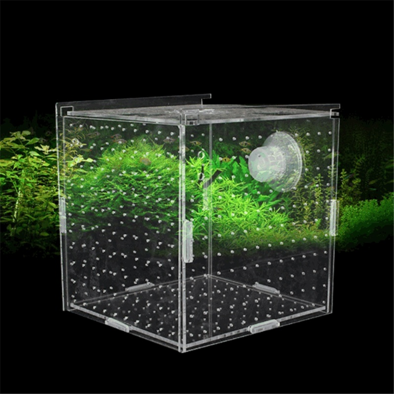 Isolation box fish tank transparent aquarium fish fry incubator ...