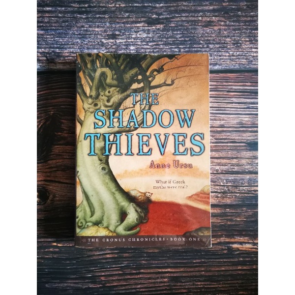 The Shadow Thieves (pb) | Shopee Philippines