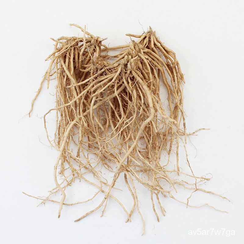 Shouhe Asparagus Seeds Root Four Seasons Planting Green and Purple