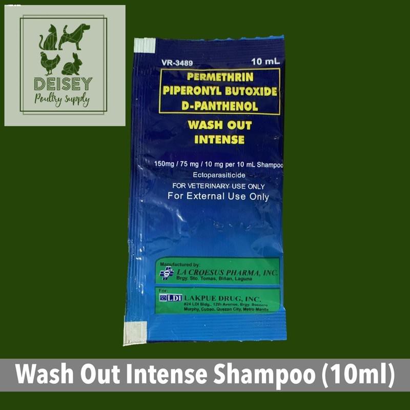 Wash out intense shampoo hotsell for dogs