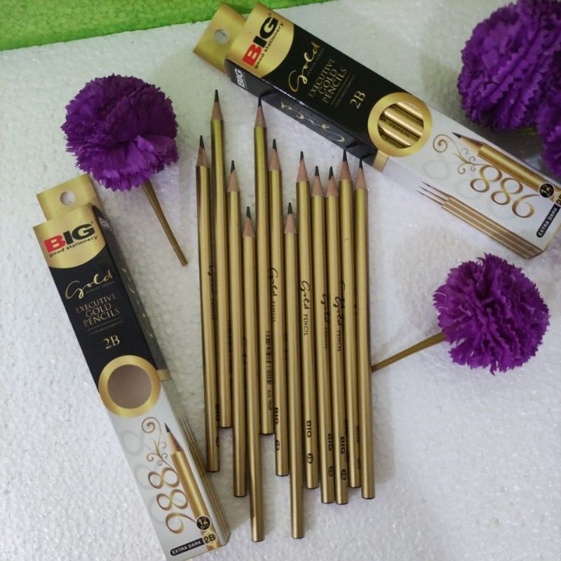 2b BIG GOLD Color Pencil Shopee Philippines