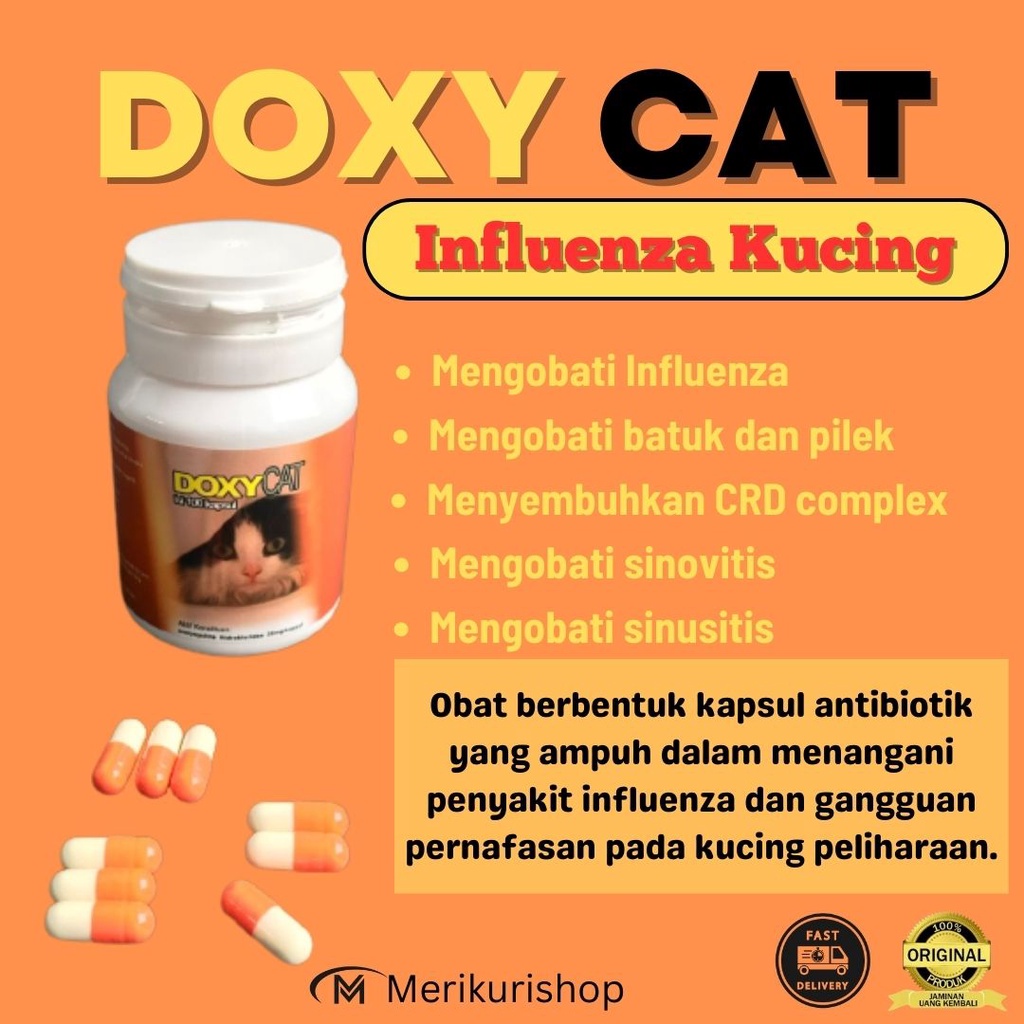 Doxy Cat Capsules Antibiotic Cat Flu Medicine Flu, Cold, Cough Shopee