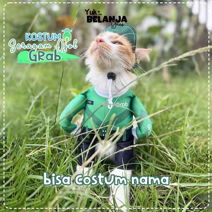 Cat Clothes Polyester Material Online GRAB Series Ojek Costumes/Rabbit