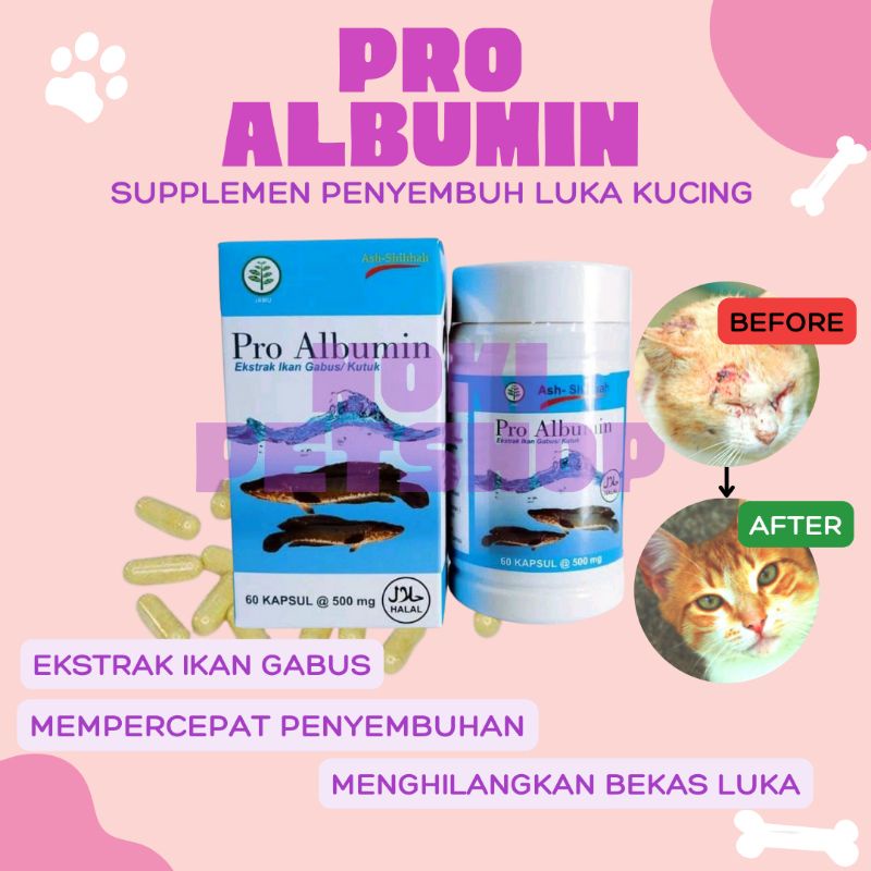 Pro ALBUMIN Medicine For Cat Wound Healing Supplements Open Wet
